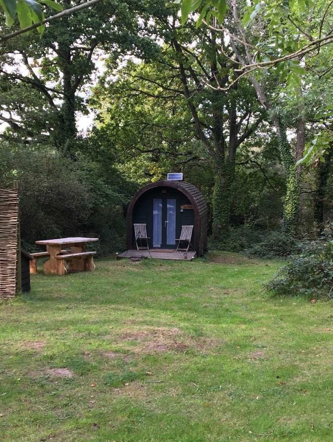 New Acre Pod Angmering